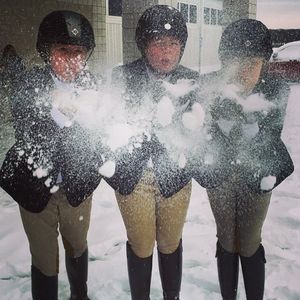 Image post by @appalachianequestrian on Instagram