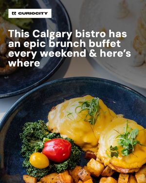 Image post by @curiocitycalgary on Instagram