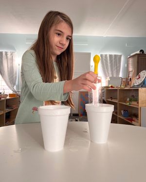 Image post by @mindsproutmontessori on Instagram