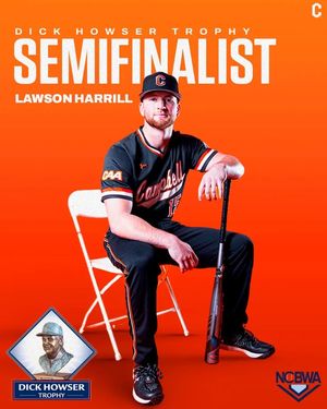 Image post by @gocamelsbsb on Instagram