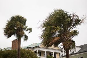 Image post by @collegeofcharleston on Instagram