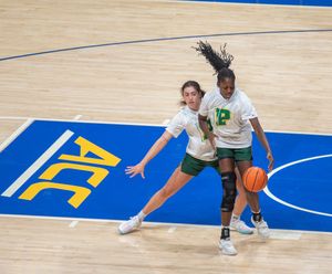 Image post by @bovadawg.visuals on Instagram