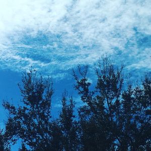 Image post by @rosencollege on Instagram
