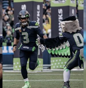 Image post by @blitztheseahawk on Instagram