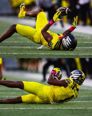 Image post by @GoDucks on Twitter