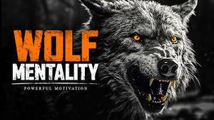 Video post by @motiversity on YouTube