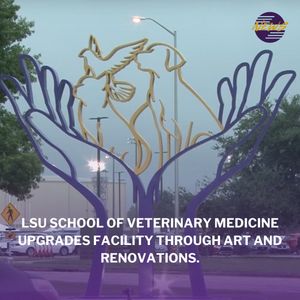 Image post by @lsutigertv on Instagram