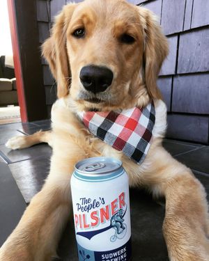 Image post by @sudwerkbrew on Instagram