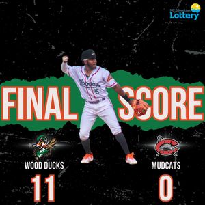 Image post by @gowoodducks on Instagram