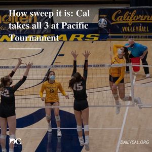 Image post by @dailycalsports on Instagram