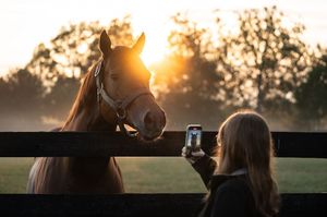 Image post by @spendthriftfarm on Instagram