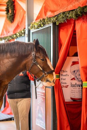 Image post by @WarmSpringRanch on Twitter