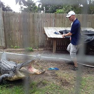 Image post by @animalplanet on Instagram