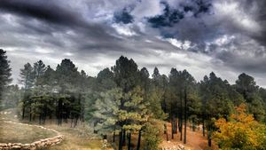 Image post by @nauflagstaff on Instagram