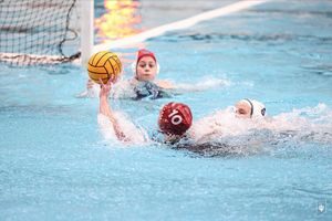 Image post by @indianawpolo on Instagram