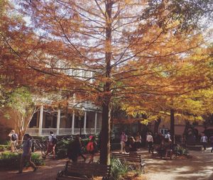 Image post by @collegeofcharleston on Instagram
