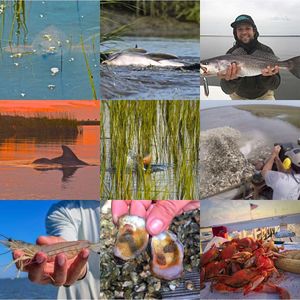 Image post by @toadfishoutfitters on Instagram