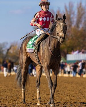 Image post by @spendthriftfarm on Instagram