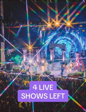 Video post by @sofitukker on TikTok