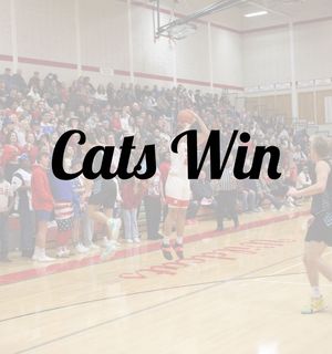 Image post by @nvstudentsection on Instagram