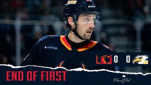 Image post by @Firebirds on Twitter