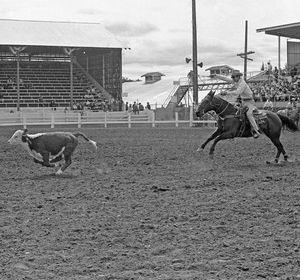 Image post by @ellensburgrodeo on Instagram
