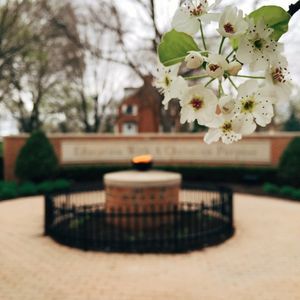 Image post by @olivetnazarene on Instagram