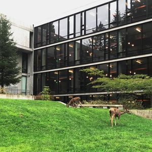 Image post by @ucsc on Instagram
