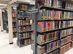 Image post by @marshallu on Instagram