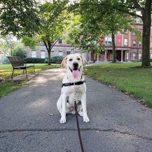 Image post by @rutgersnb on Instagram
