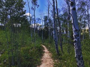 Image post by @granbyranch on Instagram