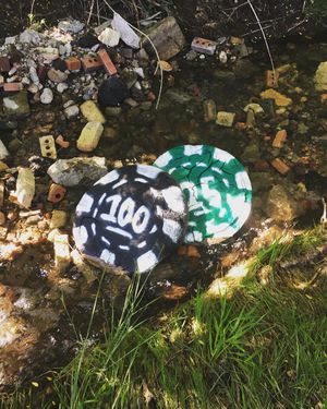 Image post by @chrishaven on Instagram