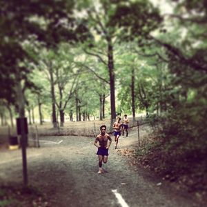 Image post by @hofstratrackxc on Instagram
