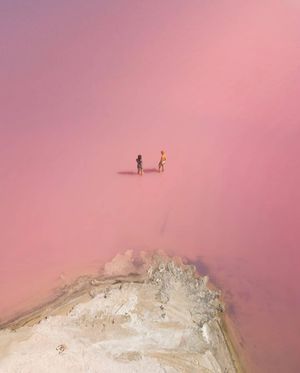 Image post by @dronepals on Instagram