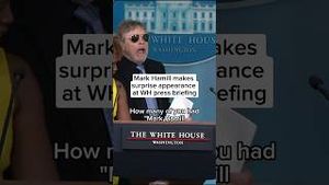 Video post by @msnbc on YouTube