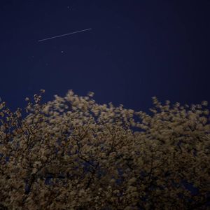 Image post by @nasaartemis on Instagram