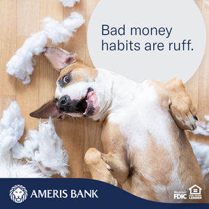 Image post by @amerisbank on Instagram