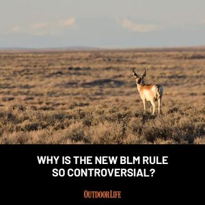 Image post by @outdoor_life on Instagram