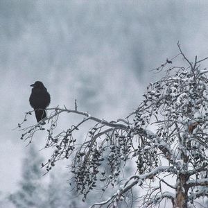 Image post by @discovery on Instagram
