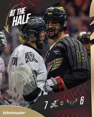 Image post by @nllwings on Instagram