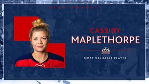 Image post by @Brock_W_Hockey on Twitter