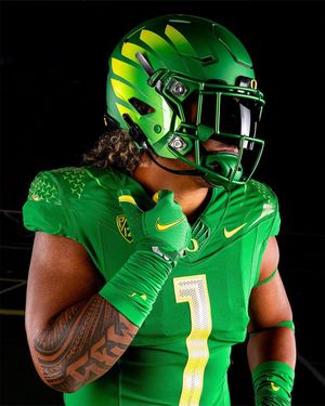 Image post by @goducks on Instagram