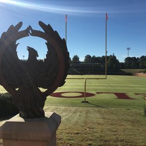 Image post by @elonfb on Instagram
