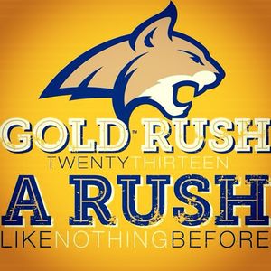 Image post by @montanastatebobcats on Instagram