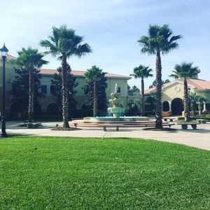 Image post by @rosencollege on Instagram