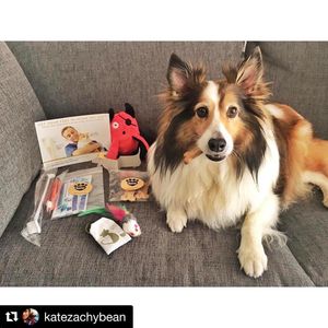 Image post by @yourfuzzy on Instagram