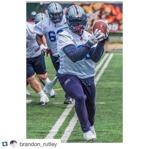 Image post by @mtlalouettes on Instagram