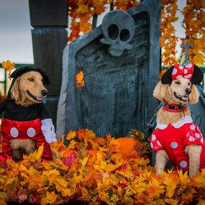 Image post by @disney on Instagram