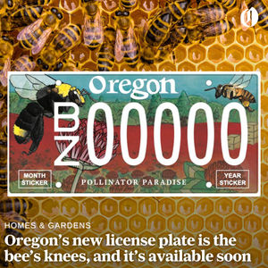 Image post by @theoregonian on Instagram