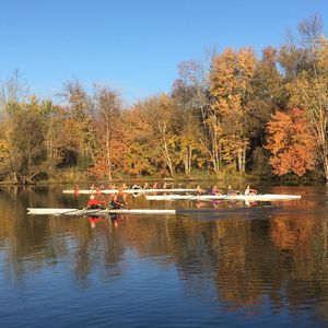Image post by @cusewrowing on Instagram